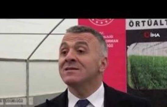 Şırnaklı 14 kadın devlet desteğiyle sera sahibi oldu