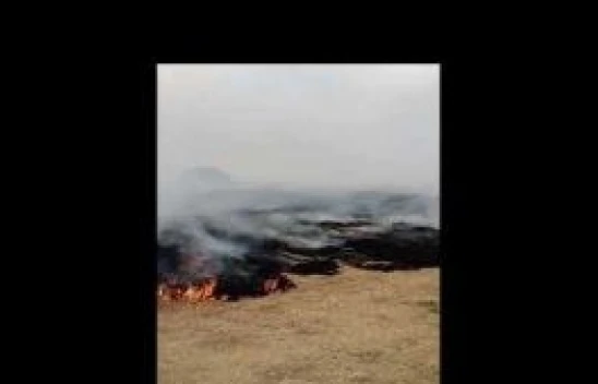 Van Gölü Adır Adası'nda yangın devam ediyor