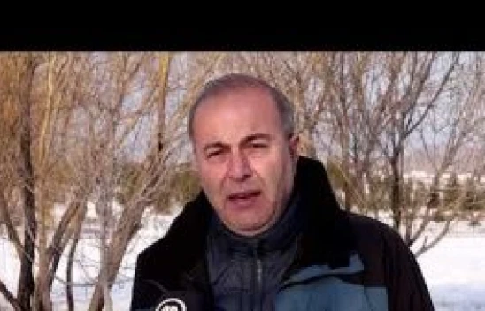 Van Gölü'nde göçmen kuşlar görüntülendi