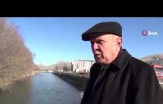 Yeşilbaşlı gövel ördekler Çoruh Nehrini renklendiriyor