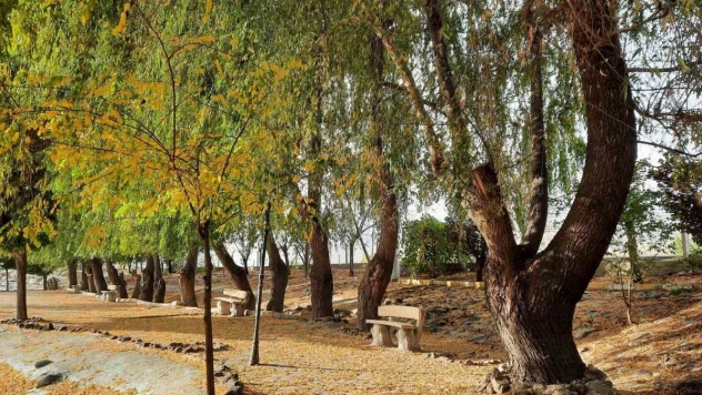 'Bor'da Sonbahar' temalı fotoğraf  yarışması sonuçlandı