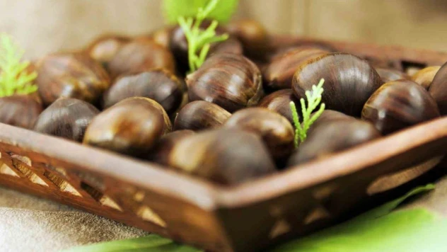 'Coğrafi işaret potansiyelimiz AB'den fazla'