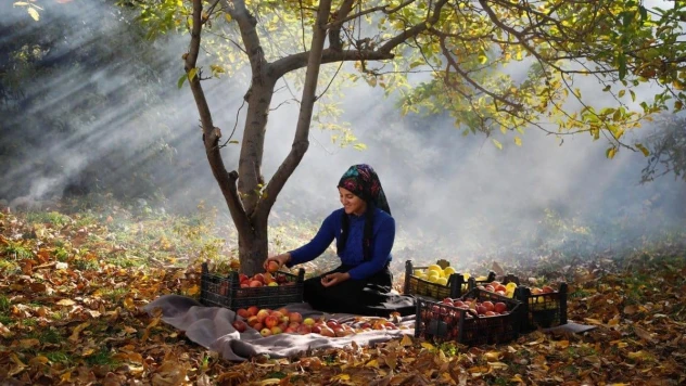'Kadrajımdan Edremit Fotoğraf Yarışması' sona erdi