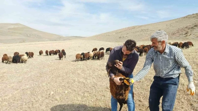 'Köyümde Yaşamak İçin Bir Sürü Nedenim Var'  projesi yeniden başladı