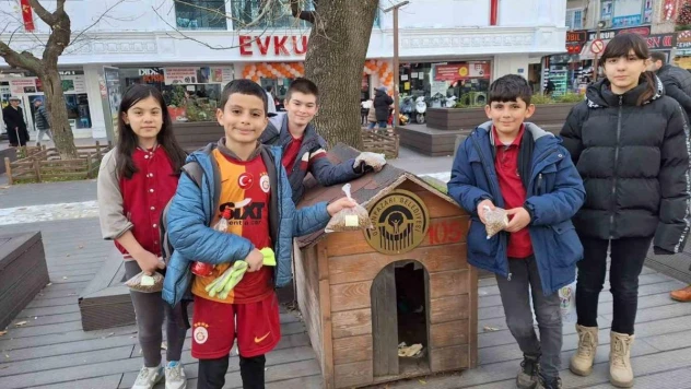 'Merhamet' konusu işleyen öğrenciler sokak hayvanlarıyla ilgilendi