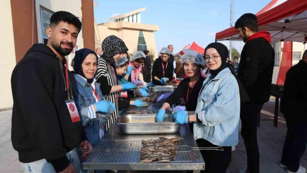 1 ton hamsi, 1 saatte tükendi