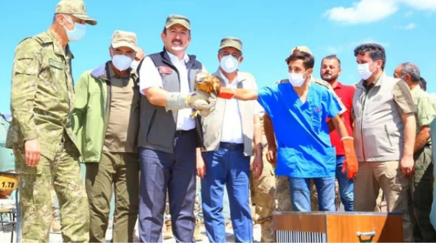 Cudi Dağı Milli Park oluyor