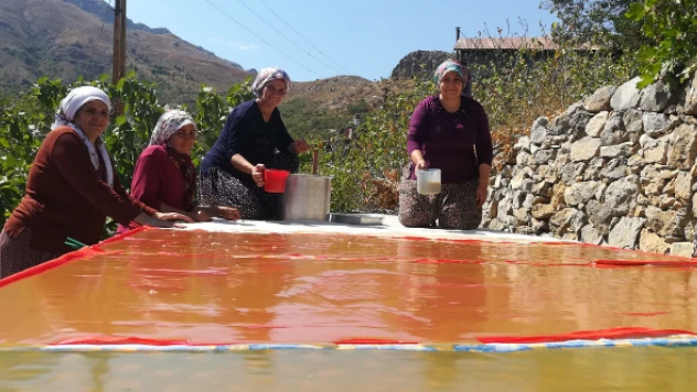 Kemaliye'de dut mevsimi başladı