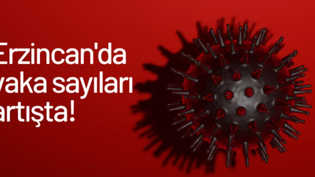 Erzincan vaka sayılarında ilk 10'da