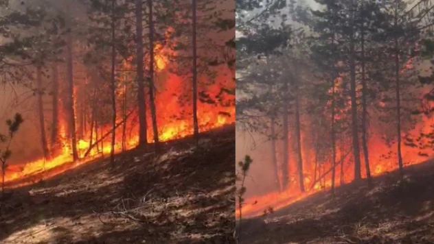 Şimdi de Sarıkamış yanıyor