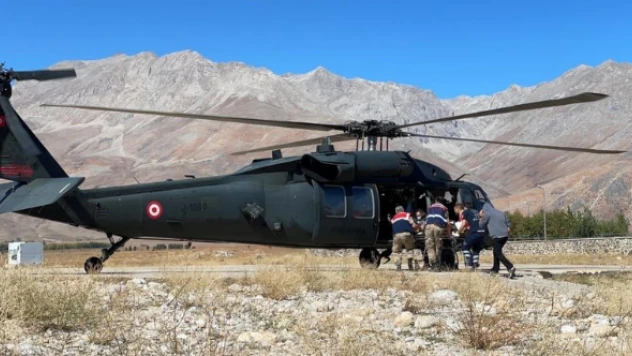 Ayı saldırısı hastanelik etti