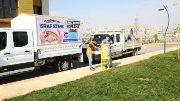 Bayat ekmek ve artık yemekler mamaya dönüşüyor