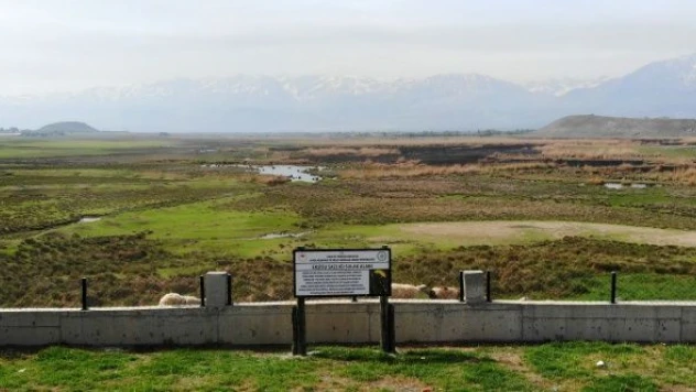 Ekşisu Sazlığı'nda biyolojik çeşitlilik izleme çalışması yapıldı