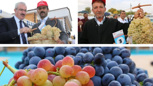 Elazığ 'da 15. Bağ Bozumu ve Orcik Festivali düzenlendi