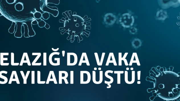 Elazığ'da aşı etkili oldu vaka sayıları düştü