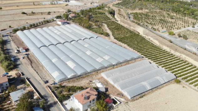 Elazığ seralarında rekoltede yüzde 40'lık düşüş var