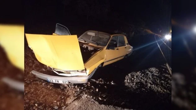 Elazığ'da tren otomobile çarptı: 2 yaralı