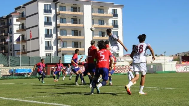 Elazığspor ve Elazığ Karakoçan PFDK'ya sevk edildi