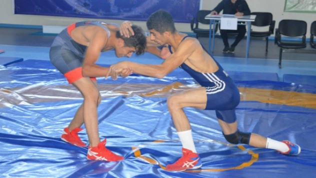 Eleşkirt'te güreş turnuvası düzenlendi