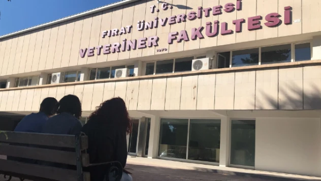FÜ Veteriner Fakültesi'nden büyük başarı