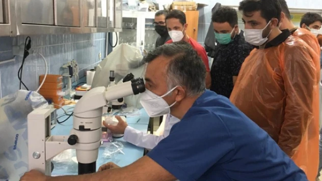 Kafkas Üniversitesi'nde Embriyo Transfer Kursu düzenlendi