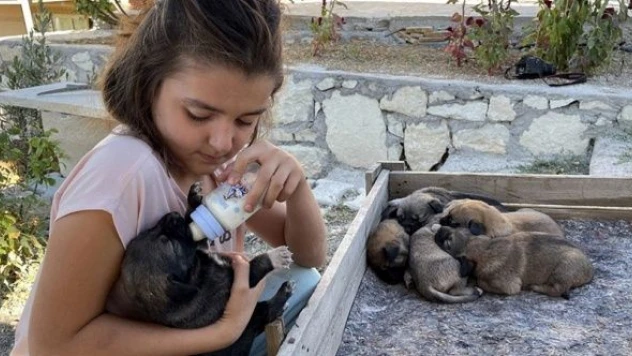 Minik Sude'nin hayvan sevgisi