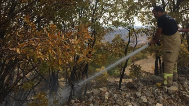 Tunceli'de çıkan orman yangını korkuttu