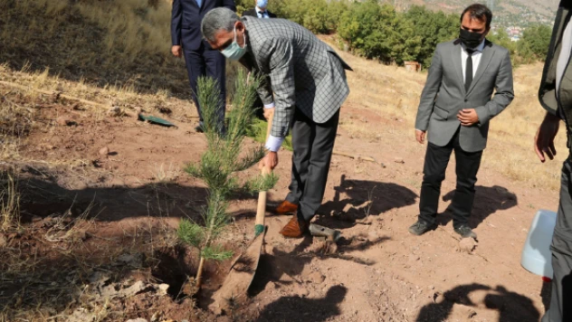 Tunceli'de her aşı geleceğe nefes oluyor