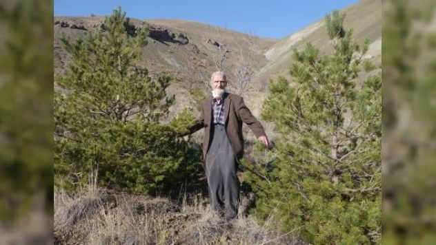 81'lik çınar fidan dikerek doğaya can veriyor