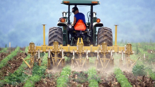 Çiftçilere bu yıl için ödenecek tarımsal destekler belirlendi