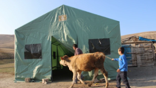 Deprem bölgesinde hayvanlar unutulmadı