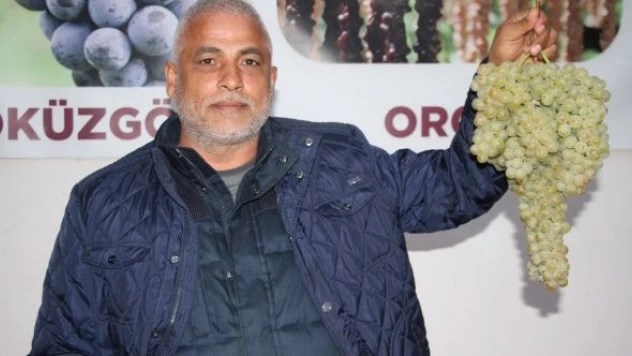 Elazığ üzümleri dünyaya açılıyor