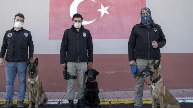 &quotHassas burunlar&quot suçluların &quotkorkulu rüyası&quot oldu