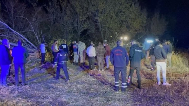 Kestiği ağacın altında kalan kişi hayatını kaybetti