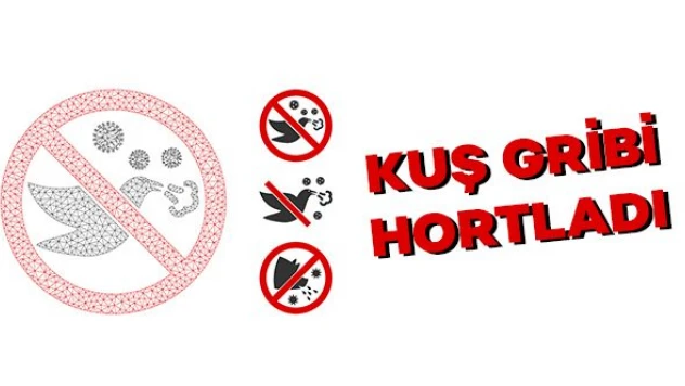 Kuş gribi hortladı!
