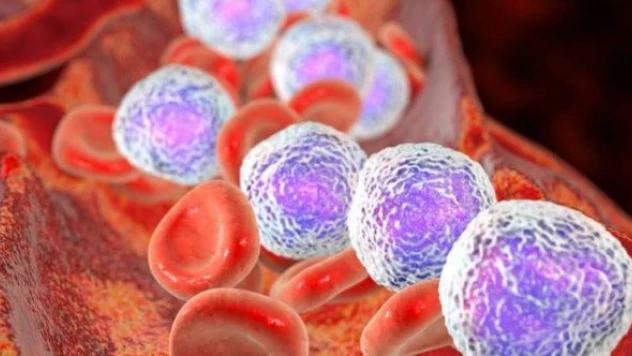 Lösemili Deniz, hayata tutundu