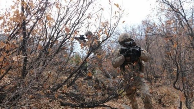 Mehmetçik'ten terör örgütlerine ağır darbe