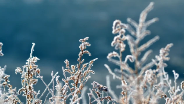 Ağrı sıfırın altında 26 dereceyi gördü