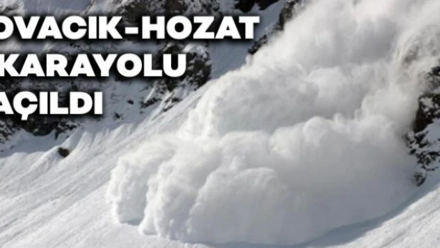 Çığ tehlikesi nedeniyle kapanmıştı, ulaşıma açıldı