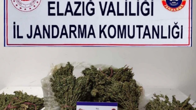 Elazığ'da kubar esrar operasyonu