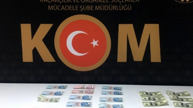 Elazığ'da sahte para operasyonu: 1 gözaltı