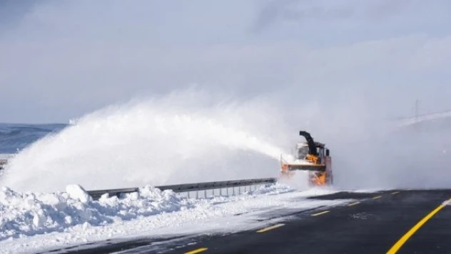 'Kar kaplanları' çalışmalarına devam ediyor