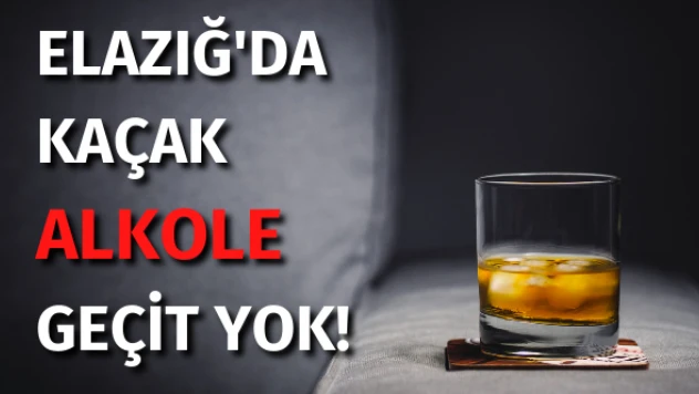 Litrelerce kaçak alkol ele geçirildi