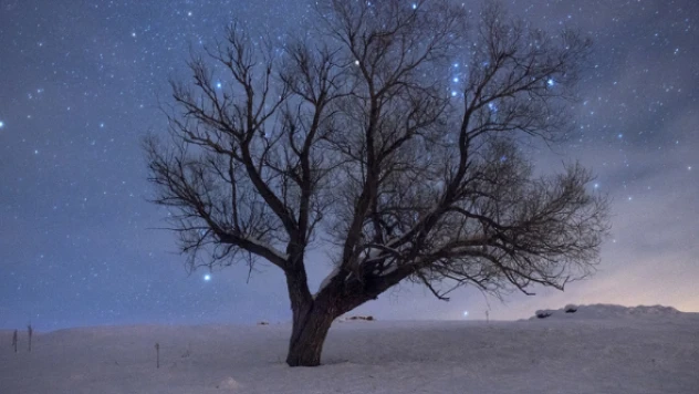 Ovacık'ta gece yıldızlara karıştı ortaya bu görüntüler çıktı