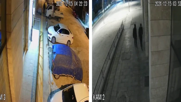 Rahatlıkları pes dedirtti!