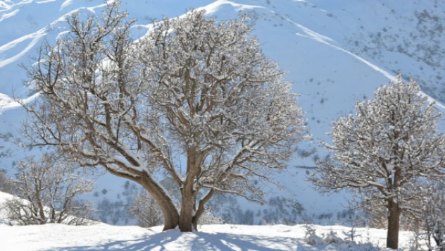 Şırnak eksi 21'i gördü ! Havaya atılan sıcak su buz tuttu!