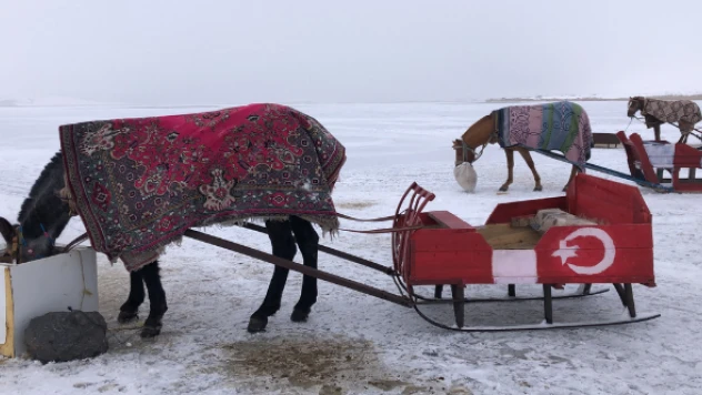 Üşüyen atlara bakın ne önlem aldılar?