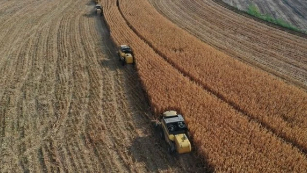 Tarımsal destek ödemeleri başladı!