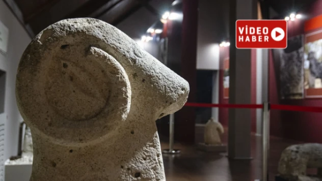 Tunceli'de tarihin izleri bu taşlarda görülüyor