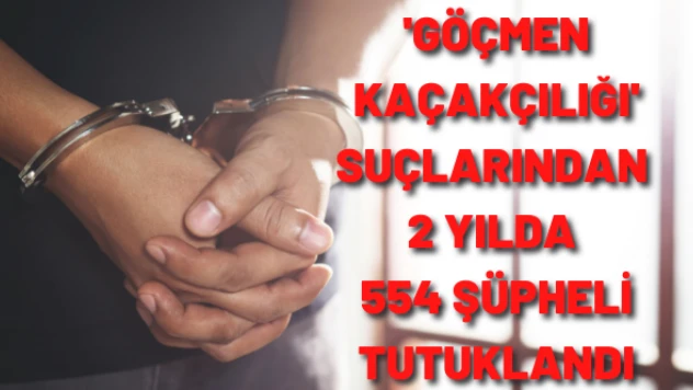 Van'da 'göçmen kaçakçılığı' bilançosu ağır